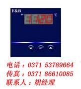 XMZ5000，百特，智能數(shù)顯儀表